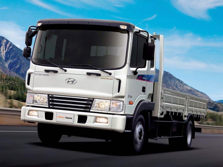  Hyundai MegaTruck Gold 2004 года  (фото 1 из 1)